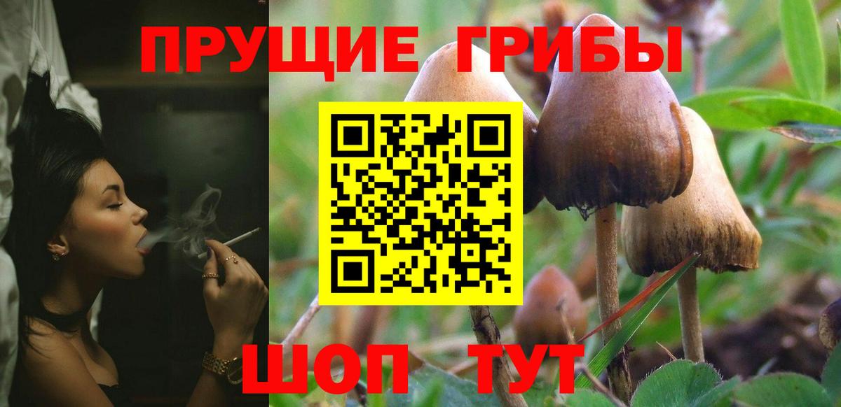 Псилоцибиновые грибы мухоморы Нягань