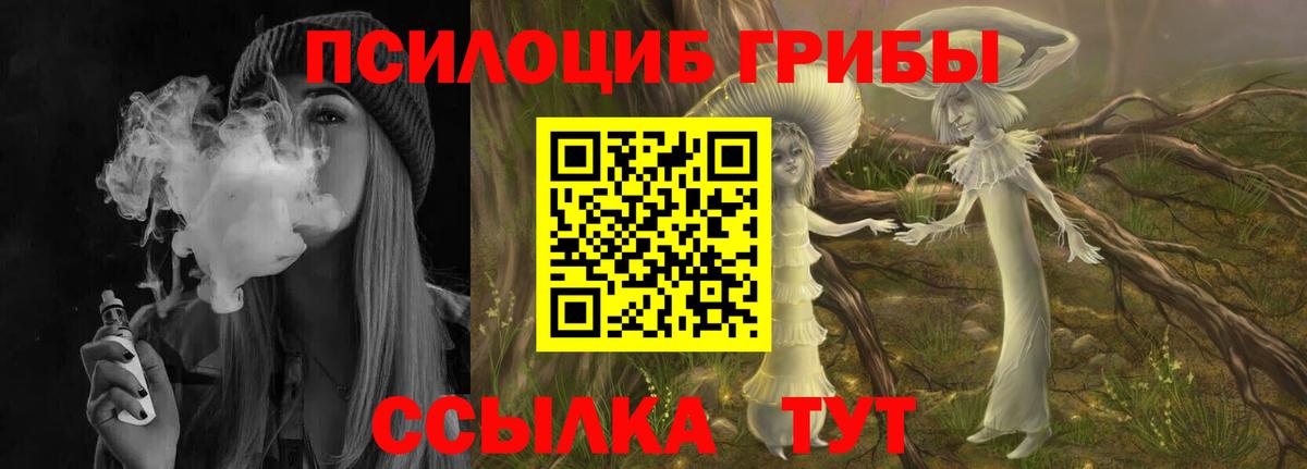 Псилоцибиновые грибы GOLDEN TEACHER  Вход с VPN  Нягань  Галлюциногенные грибы MAGIC MUSHROOMS 